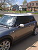 New to the mini world-img_0246.jpg