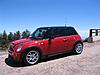 1st of our two new Mini's is home!-344.jpg