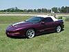 BEPMC &quot;BOO&quot;'s  '95 PURPLE WS6 TA 6-speed SISTER...LOOK...SWEET-purple-ta.jpg