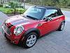 Melbourne, FL - New to Minis-img_2442.jpg