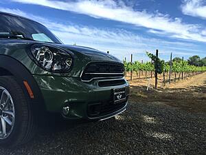 Countryman Photos-w2qqdx9.jpg