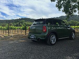 Countryman Photos-c8fkk4s.jpg