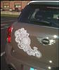 Countryman Photos-mini-paisley.jpg