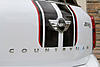 Mini Ray/JCW Stripes-image-2053985062.jpg