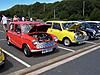 You say you have a classic Mini? PROVE IT!-sunkist-and-odie.jpg