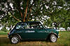 You say you have a classic Mini? PROVE IT!-img_6058m.jpg