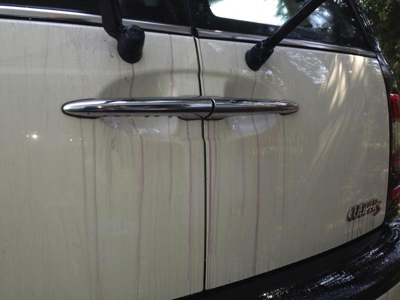 How I got rid of tiny orange spots on my paint - North ...