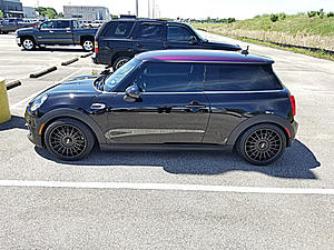 Mini Cooper Window Tints-6.jpg