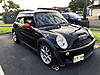 What did you do to your mini today?-image-3013150450.jpg