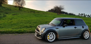 What did you do to your mini today?-mzs5c2j.png