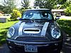 Eyes Windshield Shades-holly_mini.jpg