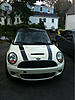 What did you do to your mini today?-image-2308258807.jpg