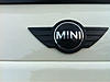 What did you do to your mini today?-image-1224501693.jpg