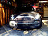 What did you do to your mini today?-image-3733160596.jpg