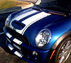 What did you do to your mini today?-image-182587663.jpg