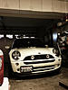 What did you do to your mini today?-image-999006387.jpg