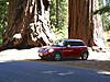 What did you do to your mini today?-image-1005981903.jpg