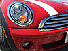 What did you do to your mini today?-image-1976280793.jpg