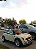 What did you do to your mini today?-image-3493811413.jpg