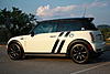 What did you do to your mini today?-lil-rog-002.jpg