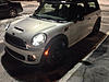 What did you do to your mini today?-image-3100756369.jpg