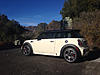 What did you do to your mini today?-image-485677532.jpg