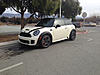 What did you do to your mini today?-image-1809503233.jpg