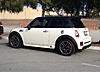 What did you do to your mini today?-image-4226896626.jpg