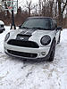 What did you do to your mini today?-image-3422109018.jpg