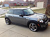 What did you do to your mini today?-image-1777960996.jpg