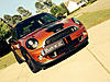 What did you do to your mini today?-image-3572499853.jpg