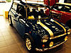 What did you do to your mini today?-image-412663921.jpg