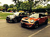 What did you do to your mini today?-image-3544001839.jpg