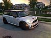 What did you do to your mini today?-image-2578294396.jpg