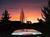 A MINI amongst a sunset (new pic I took)-sr12-28bsm.jpg