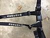 Pair Schroth Harnesses-img_7290.jpg