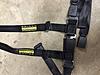 Pair Schroth Harnesses-img_7291.jpg