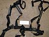 Schroth Harnesses for driver and passenger.-harness.jpg