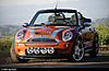 Orange Minis-mini_saddlepeak_small.jpg