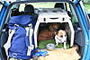 Dog crates-camper.jpg