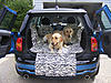 Dog crates-rrclubsmall.jpg