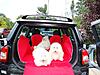 OFFICIAL Show us your Dogs in your Clubman! Pics/stories welcome!-lmonkeys.jpg