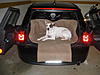 OFFICIAL Show us your Dogs in your Clubman! Pics/stories welcome!-img_2427.jpg