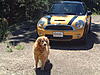 The Official Mellow Yellow Owners Club-dscf2374.jpg