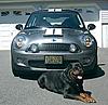 Please post pictures of your R56 here...-minia.jpg