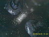 After Intake valve media blast-dcim0013.jpg