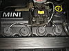 Rodents and Spark Plug Wires-minwires1.jpg