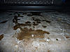 2006 R53 Water Drop under engine. Newbie planning a long trip.-r53-water-leak.jpg