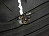 Look what happened to my tire-resize-img_1069.jpg