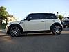 18&quot; Rial Baris on White R56-dsc00748sm.jpg